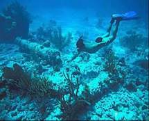 Polémica en México por proyecto turístico cercano a un arrecife de coral Polémica en México por proyecto turístico cercano a un arrecife de coral