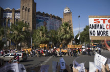 Manifestantes antitaurinos y, al fondo, protaurinos, se manifiestan ayer en Barcelona