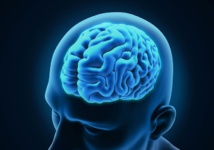 Investigadores descifran la causa del crecimiento del cerebro humano