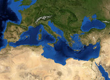 Biodiversidad: el Mediterráneo es el mar más amenazado del mundo Biodiversidad: el Mediterráneo es el mar más amenazado del mundo