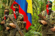Guerrilleros del ELN Guerrilleros del ELN