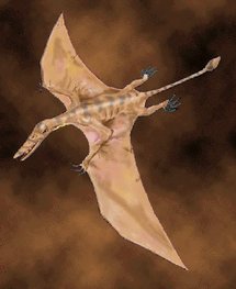 Los pterosaurios prehistóricos volaban bien, pero no con viento fuerte Los pterosaurios prehistóricos volaban bien, pero no con viento fuerte