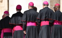 Cardenales Cardenales