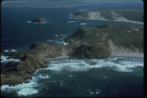 Las islas donde se ha hecho la investigación, en el océano Pacífico, frente a California. Las islas donde se ha hecho la investigación, en el océano Pacífico, frente a California.