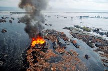 Terremoto y tsunami dejan cientos de muertos y siembran devastación en Japón