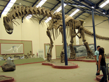 Argentinosaurus Argentinosaurus