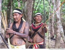 Survival advierte que tribus aisladas podrían perder al 50% de su población