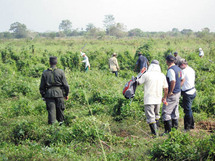 Asesinan a líder campesina que reclamaba devolución de tierras en Colombia