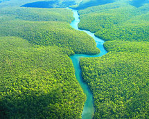 Agricultores avanzan para flexibilizar protección de bosques en Brasil