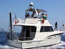 Barco francés de flotilla internacional espera alcanzar Gaza en 24 horas