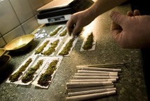 Marihuana en un coffee shop holandés. Marihuana en un coffee shop holandés.