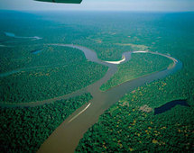 El Amazonas.