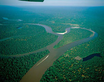 El Amazonas. El Amazonas.