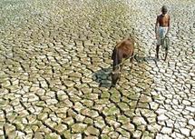 El planeta está lejos de mitigar el cambio climático, según un estudio El planeta está lejos de mitigar el cambio climático, según un estudio