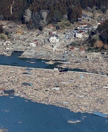 Organizan cruceros en la estela de la basura generada por tsunami en Japón