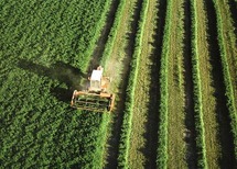 Bruselas fuerza a los agricultores europeos a defender el medio ambiente Bruselas fuerza a los agricultores europeos a defender el medio ambiente