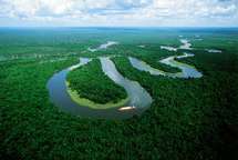 El río Amazonas.