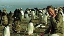 El príncipe Charles, en las islas Malvinas, islas Falklands para los británicos.