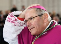 Roger Vangheluwe Roger Vangheluwe