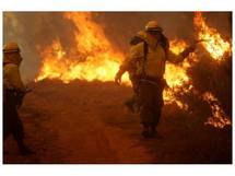 Un muerto y casi 23.000 hectáreas arrasadas en incendios en el sur de Chile