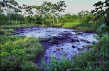 Demandantes piden aclaraciones sobre millonaria condena a Chevron en Ecuador