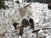 Cincuenta muertos y 145 desaparecidos en avalancha en noreste de Afganistán Cincuenta muertos y 145 desaparecidos en avalancha en noreste de Afganistán