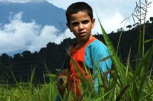 Imagen de la película colombiana Los colores de la montaña