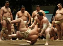 Luchadores de sumo