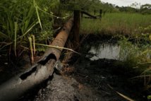 Ecuador: condena a Chevron por daño ambiental sube a 19.021 millones de dólares Ecuador: condena a Chevron por daño ambiental sube a 19.021 millones de dólares