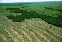 La deforestación en la Amazonia.