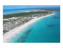 Belice