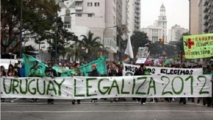 Manifestantes a favor de la legalización de la marihuana