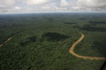 La reserva Yasuní, en la Amazonía ecuatoriana.