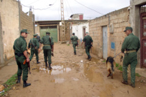 Soldados argelinos mataron a siete islamistas Soldados argelinos mataron a siete islamistas