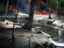 La contaminación de una fuga de petróleo en el delta del rio Níger, en Nigeria. La contaminación de una fuga de petróleo en el delta del rio Níger, en Nigeria.