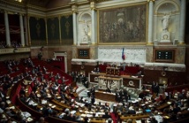 La asamblea nacional-parlamento-francesa. La asamblea nacional-parlamento-francesa.