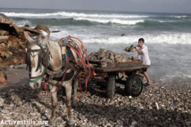 Israel y Hamas llevan a cabo negociaciones indirectas vía Egipto (televisión) Israel y Hamas llevan a cabo negociaciones indirectas vía Egipto (televisión)