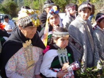 Mapuches