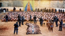 Condenados a 156 años policías brasileños por masacre de presos en 1992 Condenados a 156 años policías brasileños por masacre de presos en 1992