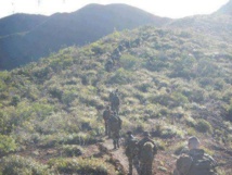Las fuerzas tunecinas persiguen a dos grupos armados yihadistas cerca de frontera argelina