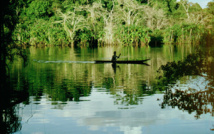 Países amazónicos crearán observatorio para protección de la selva