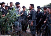 Guerrillas colombianas piden adelantar diálogos con toda la insurgencia Guerrillas colombianas piden adelantar diálogos con toda la insurgencia