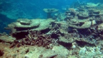 La Gran Barrera de Coral La Gran Barrera de Coral