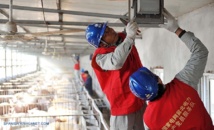 China opta por compromiso entre el mercado y el poderoso sector estatal China opta por compromiso entre el mercado y el poderoso sector estatal