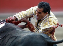 Iván Fandiño, cuando fue cogido y herido por un toro