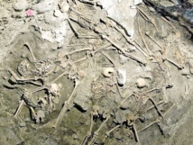 Esqueletos de republicanos fusilados en una fosa Esqueletos de republicanos fusilados en una fosa