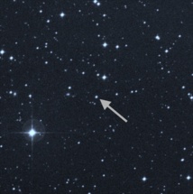 La estrella SMSS J031300.36-670839.3