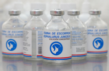 La toxina de escorpión La toxina de escorpión