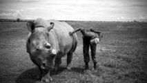 WildLeaks, un sitio web para denunciar a los cazadores furtivos WildLeaks, un sitio web para denunciar a los cazadores furtivos