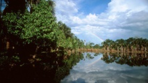 Amazonas Amazonas